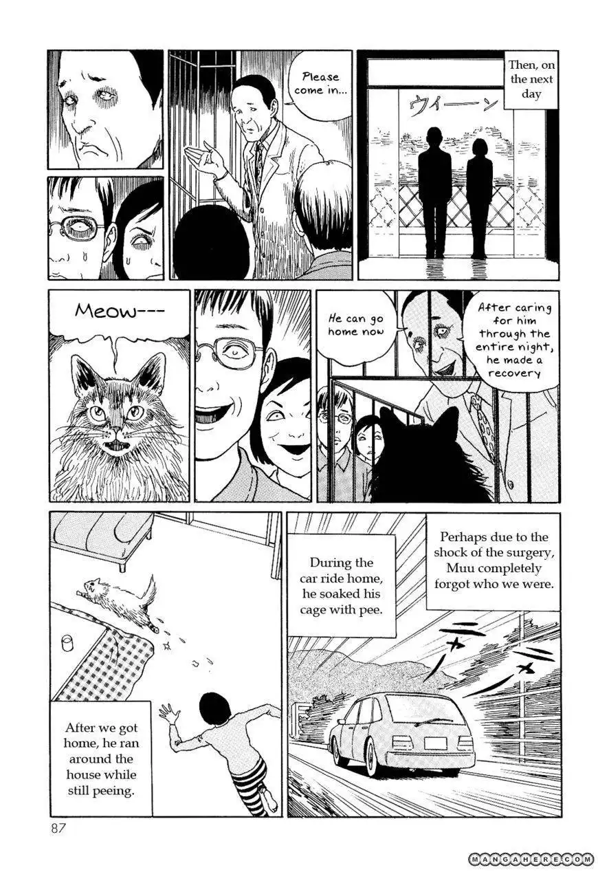 Ito Junji's Cat Diary Chapter 8 9